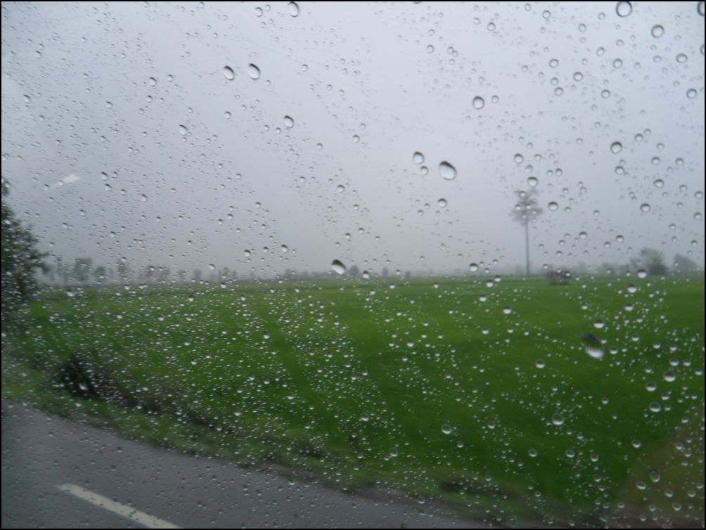 photo15 (6)